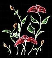 Date this athletic United States girl Grace from New York City US6994