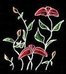 georgeous United States girl Grace from New York City US6994