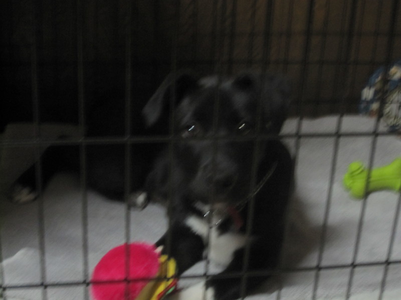 Date this attractive United States girl Flabra from San Diego US9259