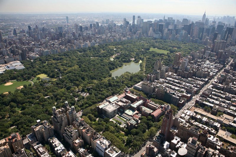 Date this attractive Dominican Republic man Raek from Santo Domingo DO10184