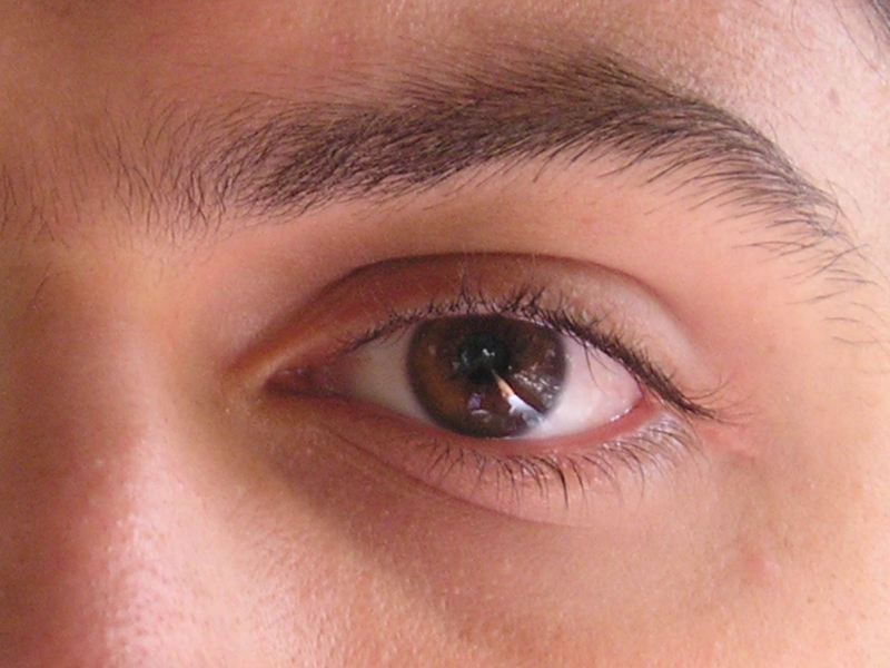 Date this nice looking United States man Eduardo81 from New York US15000