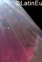 Date this georgeous Colombia girl Kari from Santa Marta CO23636