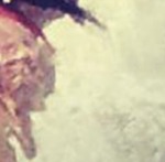 good-looking Venezuela girl Anabela from Caracas VE1983